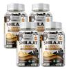 Airboy Shilajit & Ginseng Komplex Kapseln - Energie - ImmunGesundheit