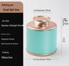 Compact Sealed Tea Canister for Single Brew - Portable and Reusable