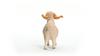 Schleich Farm World Angora Goat 13970 (Male)