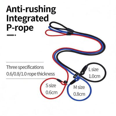 All In One Nylon P Chain Dog Training Collar Leash No Pull Anti Shock Quick Release Buckle Explosion Proof Walking Lead For Small Medium Large Pet