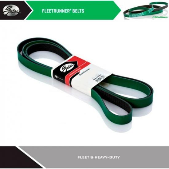 GATES Heavy Duty Serpentine Belt for 2009 FORD F-250 SUPER DUTY V8-5.4L