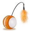Interactive Play Ball for Cat Plus Pen Irregular Walking Mode Flashing LED Flashes Funny Sounds Multi Styles Color Safety Material | Cat Toys (Orange)