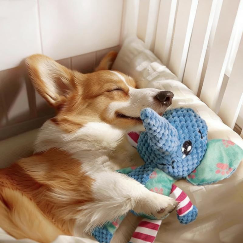 New Interactive Pet Plush Toy for Cat And Dog - Cute Squeaky Bite Resistant Puzzle Chew Toy for Teeth Cleaning Pet Supplies