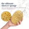 Natural Seaweed Bath Sponge with Honeycomb Texture Gentle Exfoliating Body Scrub for All Skin Types