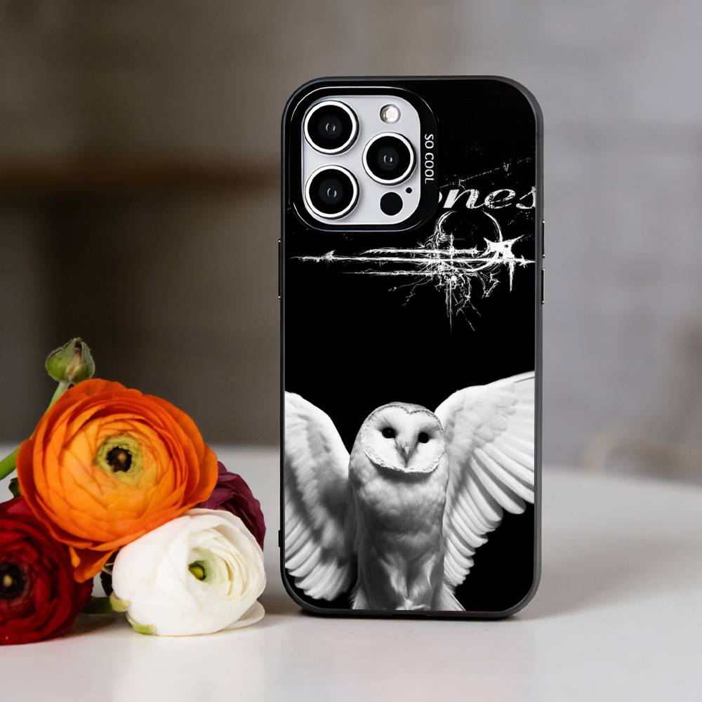 Band D-Deftones Phone Case For iPhone 17,16,15,14,13,12,11 Plus,Pro Max,XS,Colorful Silver Phone case Funda Cover iPhone17promax