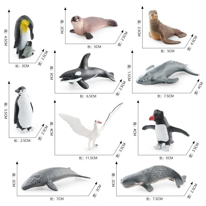 Detailed Pvc Antarctic Ocean Animal Model Set With Penguin Whale Seal And Albatross