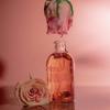 [2 Types of Saint Rose] Saint Rose Body Oil 100ml + Saint Rose Multi-Perfume 100ml