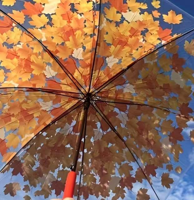 Прозрачный зонт-клетка «Кленовый лист» - издание «Маленькая свежая принцесса» с дизайнами «Арка», «Гриб» и «Цвет сакуры» 23 inches