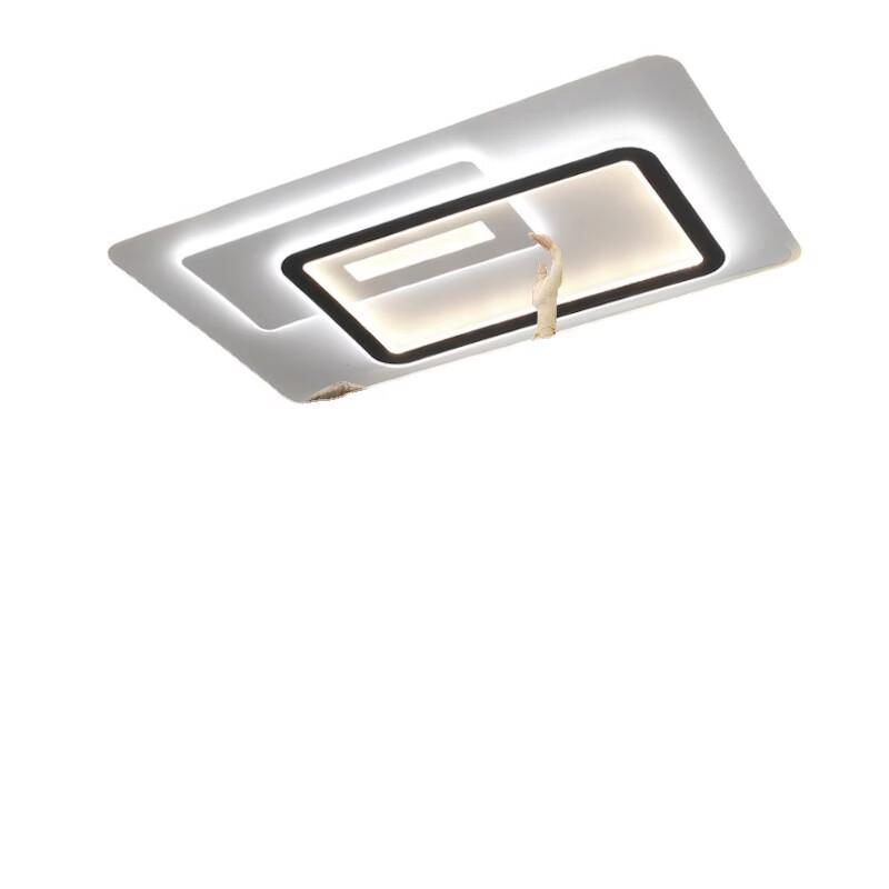 oeny Modern Minimalist LED Ceiling Light