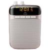 SOAIY S518 Portable FM Wireless Amplifier Speaker