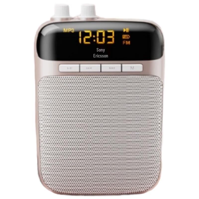 SOAIY S518 Portable FM Wireless Amplifier Speaker