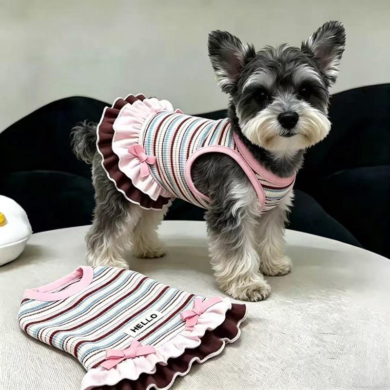 Dog clothes Autumn and winter rainbow striped dress Bigbear cat teddy Pomeranian small dog velvet pet vest