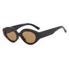 Fashion Cat Eye Sunglasses Women  Ins Popular Vintage Punk Oval Sun Glasses Female Trending Shades Multicolour Eyewear UV400