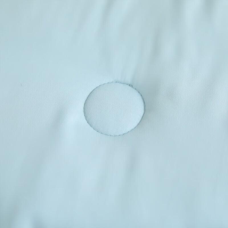 HLA Puppy Ice Silk Summer Quilt