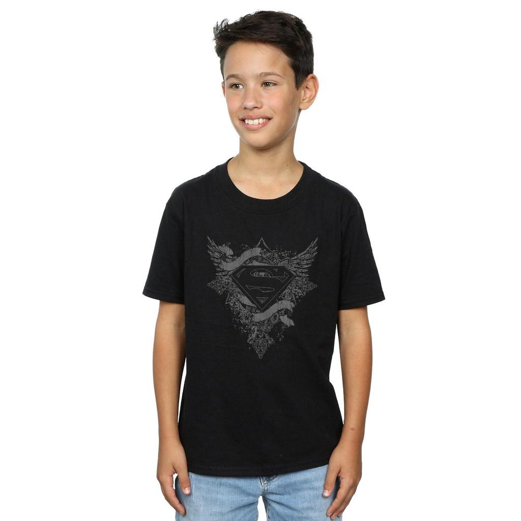 DC Comics Boys Superman Wings Logo T-Shirt