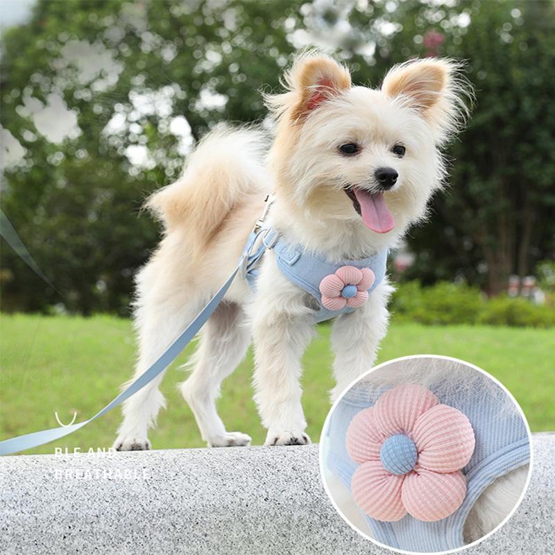 Dog Harness Walking Lead Leash For Dog Cat Collar Vest Breathable Leash Puppy Rope Go Out Anti-Lost Small Medium Pet Accessories