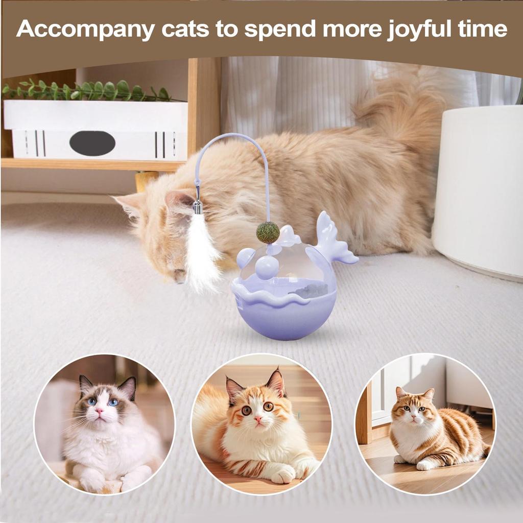 Cat Puzzle Feeder Indoor Kitten Catnip Ball Teaser Interactive Treat Dispenser Toy For Mental Stimulation Boredom Relief