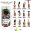 Mini Dinosaur, Insect, and Marine Animal Toys for Kids