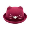 Autumn/Winter Kids' Cute Cat Ears Fedora: Korean/British Style Sunshade Wool Felt Fisherman Hat for Boys and Girls.