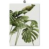 Green Plant Monstera Scallop Boho Abstract Flower Nordic Wall Art Canvas Painting Posters Prints Pictures for Living Room Decor No Frame