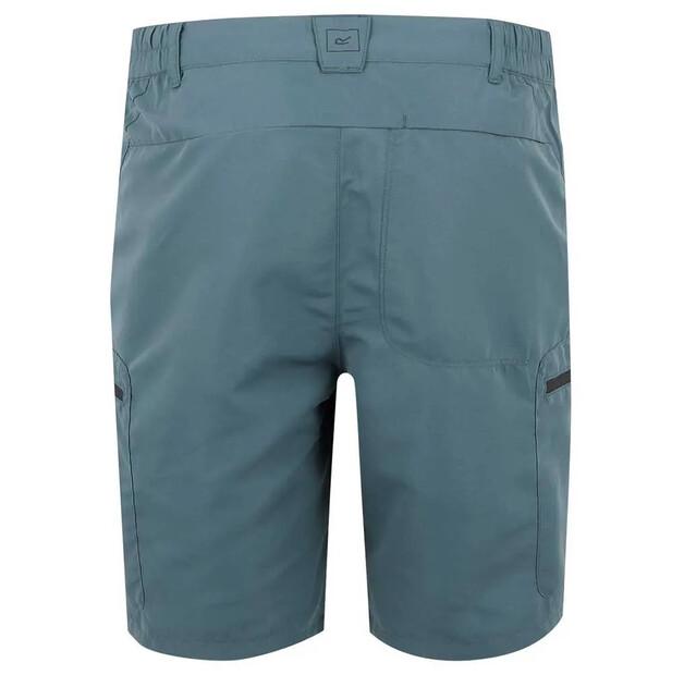 Regatta Leesville III Shorts