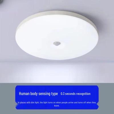 OEING Motion Sensor LED Ceiling Light (2-Pack)