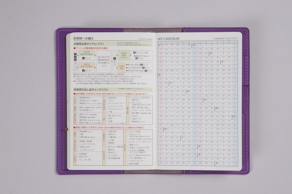 848 Sunday Start 2 Takahashi Shoten 2025 Edition April Start Sunday Start Weekly Grape Planner Size T'beau (Tee's View)