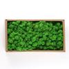 D5 Preserved Decorative Moss Natural For Home Decorations Model Making Fake Moss Background Wall Immortal Simulated Green Plants