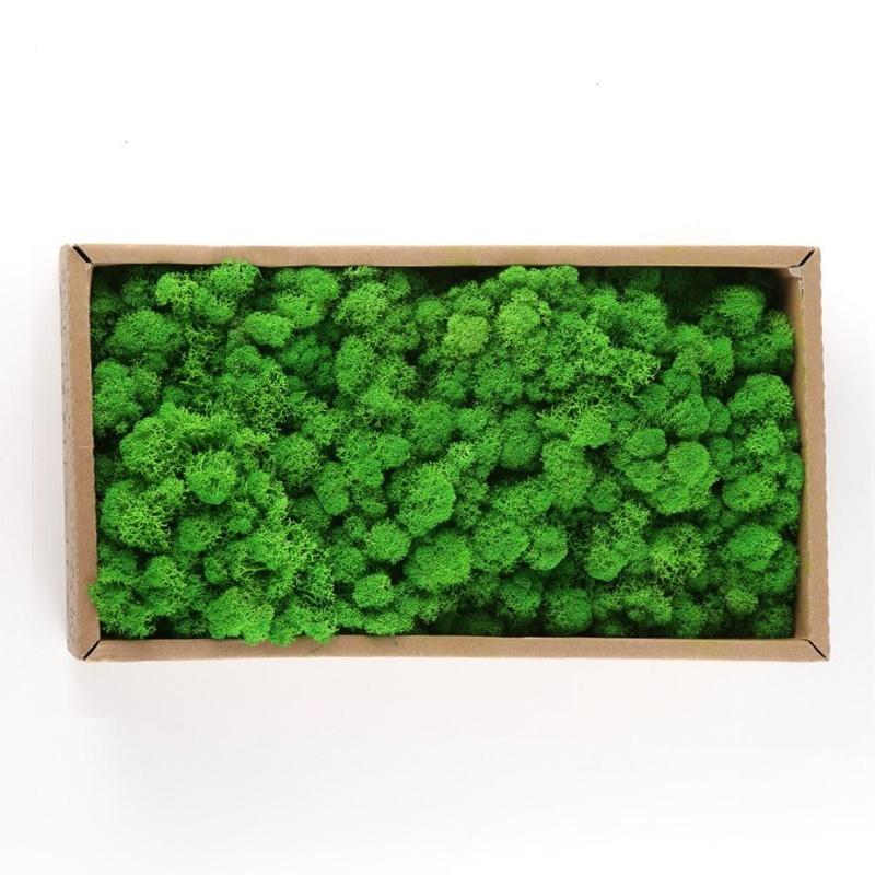 D5 Preserved Decorative Moss Natural For Home Decorations Model Making Fake Moss Background Wall Immortal Simulated Green Plants