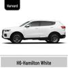 Haval H6 Cool Dog Touch-Up Pen, Black Spot & Ruixue White Scratch Repair Paint