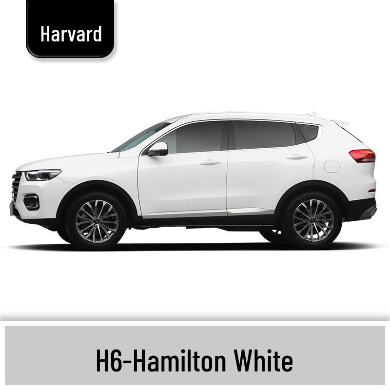 Haval H6 Cool Dog Touch-Up Pen, Black Spot & Ruixue White Scratch Repair Paint