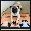 Personalized Pet Cat  Dog Welcome Doormat,  Name Entry Rug for Cat  Dog Lovers, Non-Slip Absorbent
