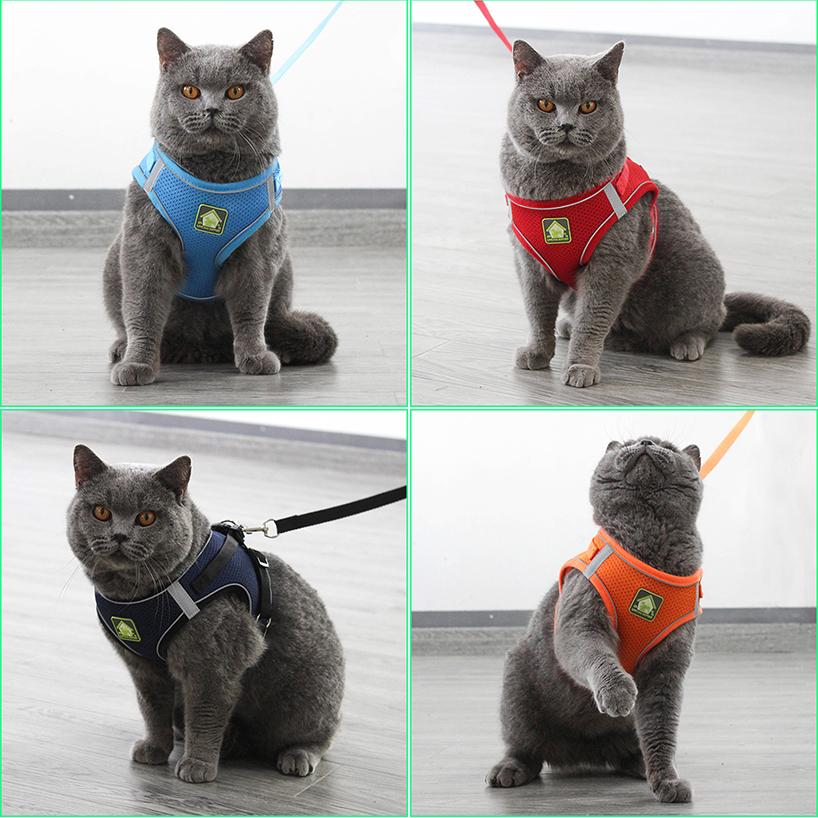 Reflective Puppy Cat Harness Vest With Walking Lead Leash Adjustable Kitten Collar Polyester Mesh Harness For Small Medium Dogs
