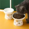 Ceramic Cat Bowl Anti Black Chin Non Spill Water Dish Pet Food Feeder for Cats and Dogs