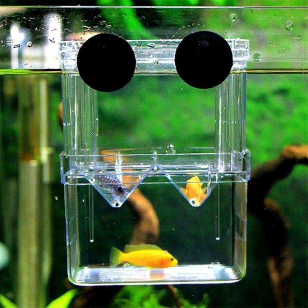 Acrylic Baby Fish Hatching Incubator Box Multi Size Betta Fish Tank Divider Shrimp