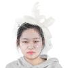 Wedding Women Net Mesh Bridal Face Veil Hats Brides Fascinator Headwear Hair Accessory(Black)