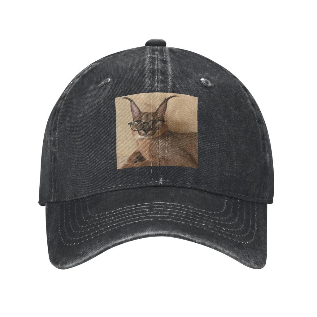 Studious Big Floppa Denim Fabric Cap Casual Baseball Caps Adjustable Hat Summer Unisex Baseball Hats