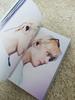 [USED] BTS Bangtan Boys Taehyung V Photobook Master