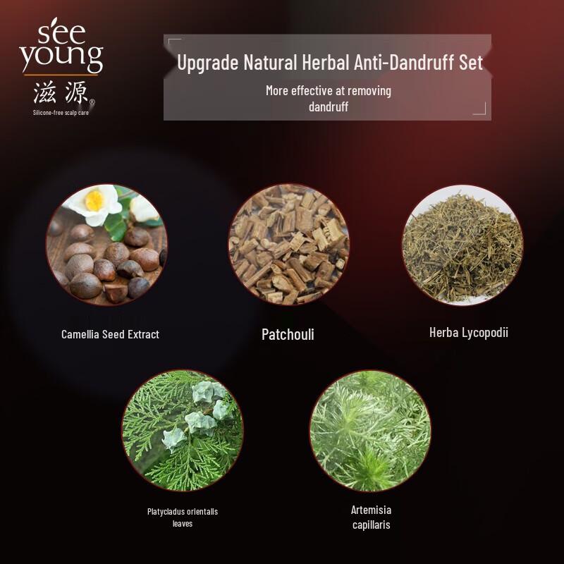 Ziyuan Amino Acid Tea Seed Anti-Dandruff Shampoo