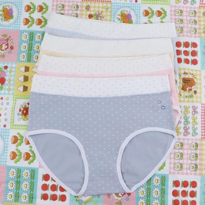 Nohavičky – Bikiny, brazilky, hipsterky a retro nohavičky