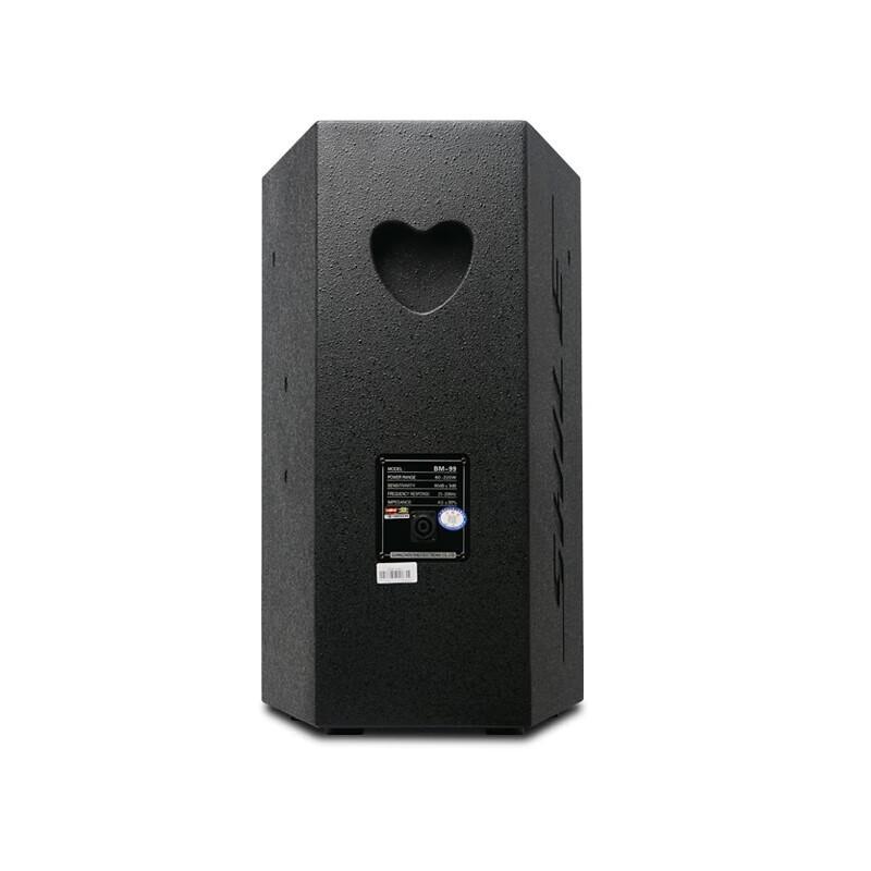 SHILE BM-99 Pair of 12-inch Professional KTV Passive Speakers