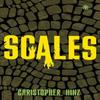 Scales by Christopher Hinz Paperback Book 9781915202888