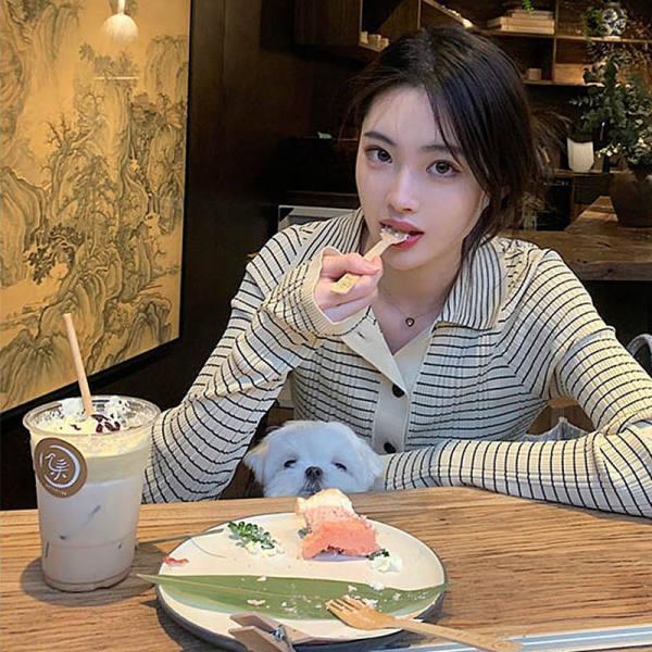 New Spring and Autumnal Polo Collar Striped Knitted Cardigan Jacket Women Bottoming Shirt Design Niche Long-sleeved Top