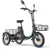Niloxer KA1 Elektryczny Rower Trójkołowy Cargo dla Dorosłych 16*2.3 Cala Opona Terenowa Rower Elektryczny Silnik 500W Rower Trójkołowy Elektryczny Bateria 48V23AH Rower Elektryczny