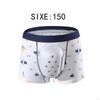 Circumcision Post Surgery Underwear Prevent Friction Infection for Kids