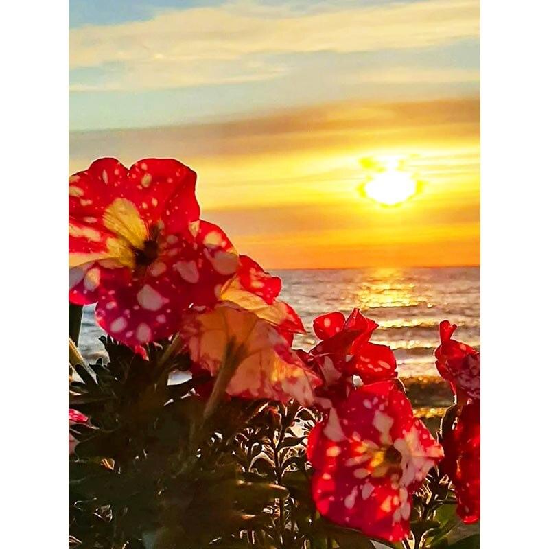 5D DIY Diamond Painting Sunset Scenery Diamond Embroidery Landscape Cross Stitch Full Round Drill Crafts Home Decor Gift