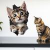 Creative Peeking Kitten Wall Stickers, 3D Breaking Wall Effect for Kids Room Living Room Decor, Removable Self-Adhesive