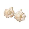 Small Fresh Flower Earrings, The Same High-end Stud Earrings, Sweet Temperament and Versatile Earrings.