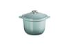 Cocotte Every Sea Cast Iron Enamel Pot with Stainless Steel Oven and Dishwasher Safe Japanese 20, Salt, 20cm, Handle, [Official Product]