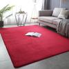 Modern Simple Style Thickened Non-Slip Coral Fleece Carpet for Living Room & Bedroom